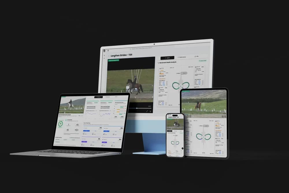 Equine Biomechanics Dashboard