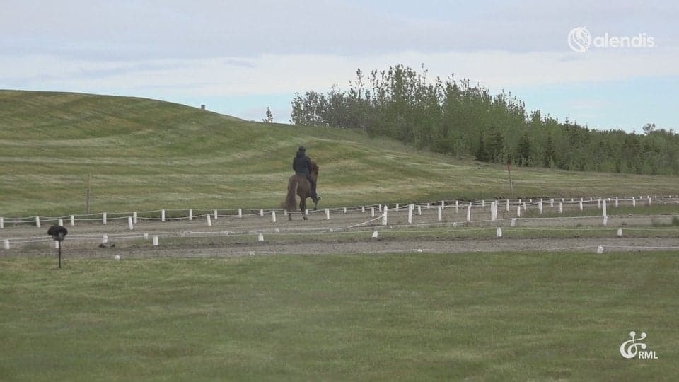 FIZO25 | IS2020284978 HÁTÍÐ FRÁ HVOLSVELLI / ELVAR ÞORMARSSON