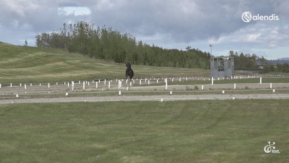 FIZO25 | IS2020276178 HUGSÝN FRÁ KETILSSTÖÐUM / ELÍN HOLST