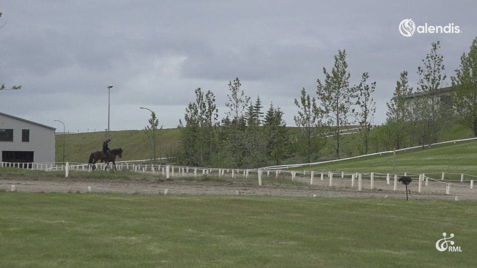 FIZO25 | IS2020286931 KRÍA FRÁ ÁRBÆ / ÁRNI BJÖRN PÁLSSON