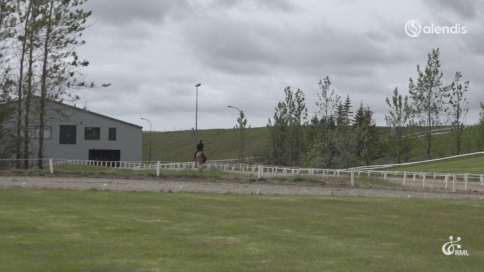 FIZO25 | IS2020288288 SELMA FRÁ FOSSI / AÐALHEIÐUR ANNA GUÐJÓNSDÓTTIR