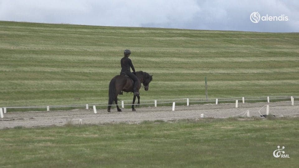 FIZO25 | IS2020201031 BRÍET FRÁ MARGRÉTARHOFI / AÐALHEIÐUR ANNA GUÐJÓNSDÓTTIR