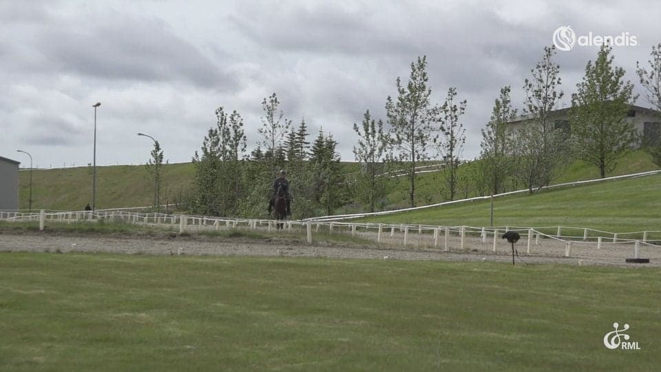 FIZO25 | IS2021276176 KLETTAGJÁ FRÁ KETILSSTÖÐUM / BERGUR JÓNSSON