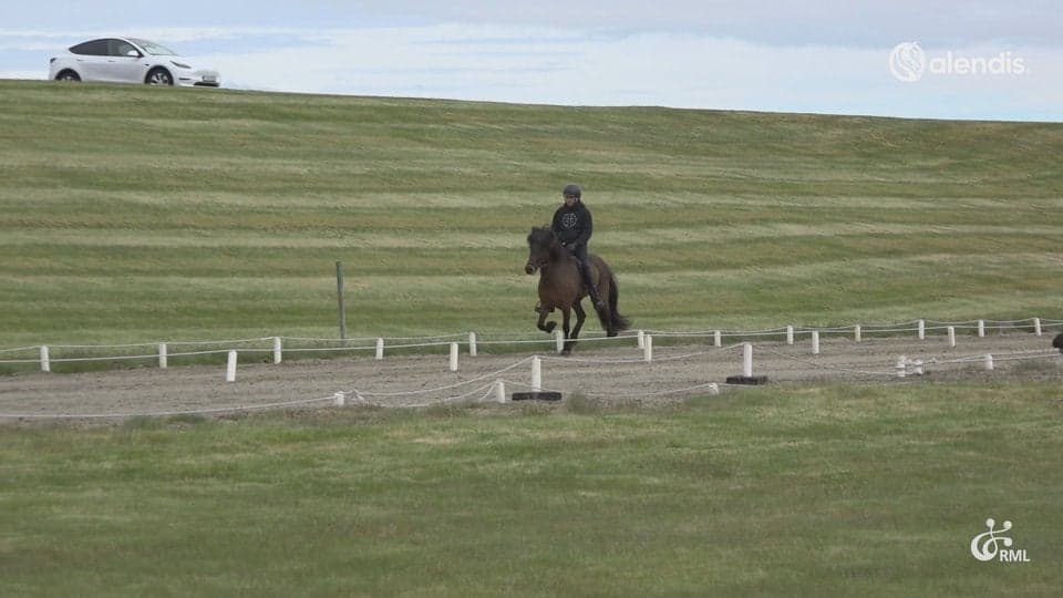 FIZO25 | IS2018288694 EIK FRÁ EFRI-BRÚ / BENJAMÍN SANDUR INGÓLFSSON