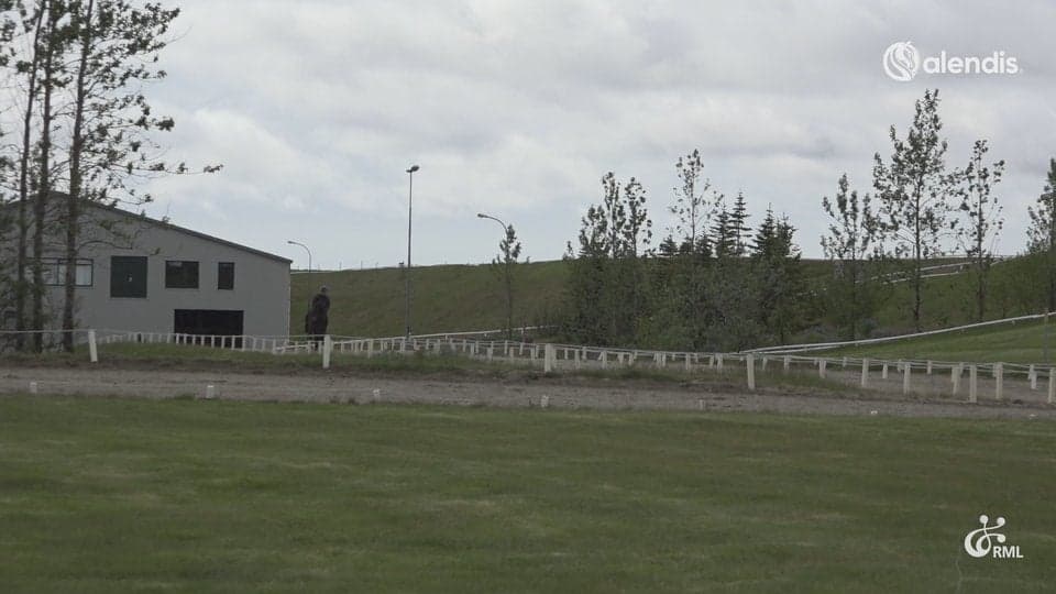 FIZO25 | IS2016286702 TIGN FRÁ LEIRUBAKKA / ÞORGEIR ÓLAFSSON