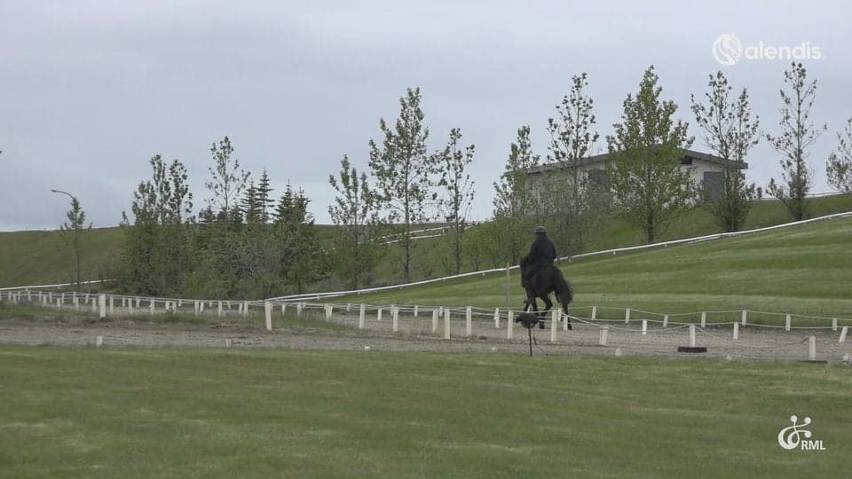 FIZO25 | IS2021287121 GREIN FRÁ TORFABÆ / BENJAMÍN SANDUR INGÓLFSSON