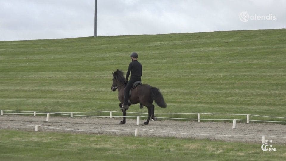 FIZO25 | IS2019286217 ÚTRÁS FRÁ ÞVERHOLTI / HJÖRTUR INGI MAGNÚSSON